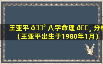 王亚平 🌲 八字命理 🌸 分析（王亚平出生于1980年1月）